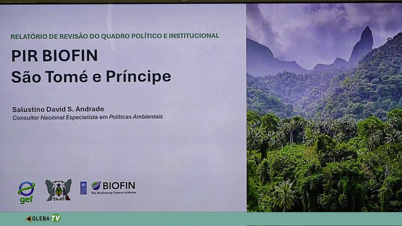Programa das Nações Unidas defende reforço do financiamento para conservação da biodiversidade em São Tomé e Príncipe