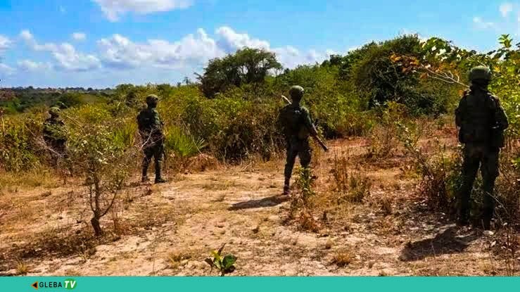 Moçambique: Forças de Defesa e Segurança abatem mais de cinco terroristas em Macomia