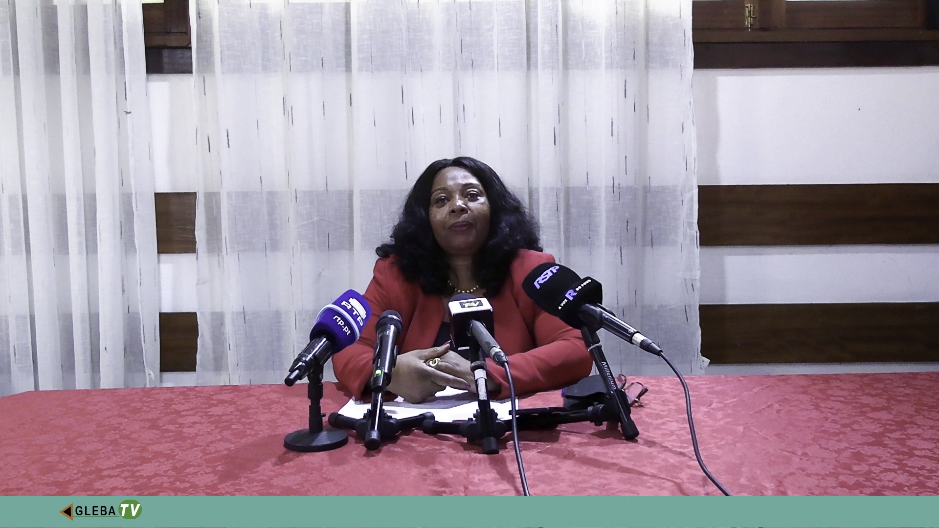 As eleições presidenciais são o combustível para ganhar as legislativas”, afirma Elsa Pinto